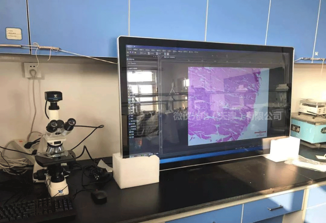 生物顯微鏡.png