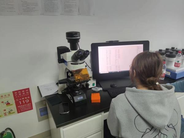 內蒙古醫科大學實驗中心購入微儀光電三目正置熒光顯微鏡搭配骨形態分析系統