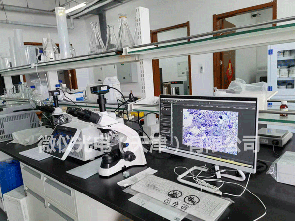 百葵銳（天津）生物科技有限公司采購我公司生物顯微鏡