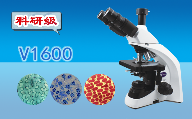 三目生物顯微鏡V1600