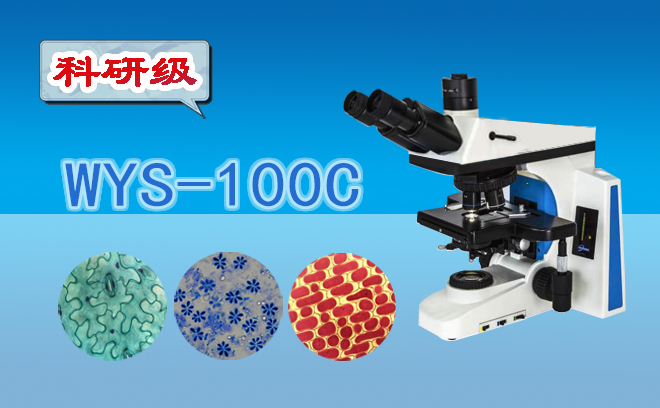 科研級三目生物顯微鏡WYS-100C
