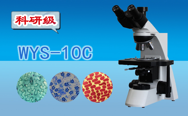 三目生物顯微鏡WYS-10C