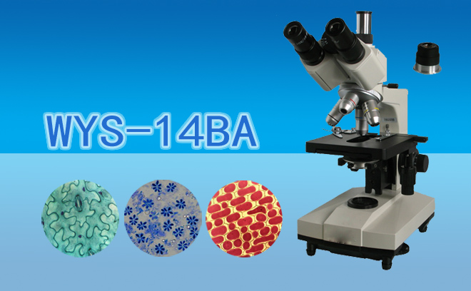 雙目暗視野顯微鏡WYS-14BA