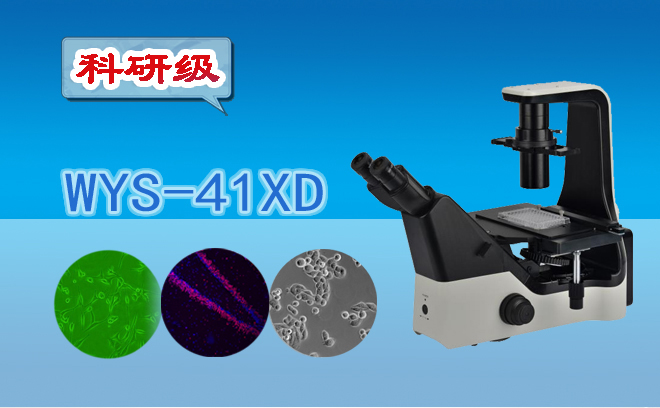 科研級三目倒置生物顯微鏡WYS-41XD