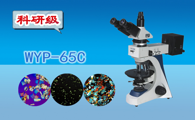 三目透反射偏光顯微鏡WYP-65C