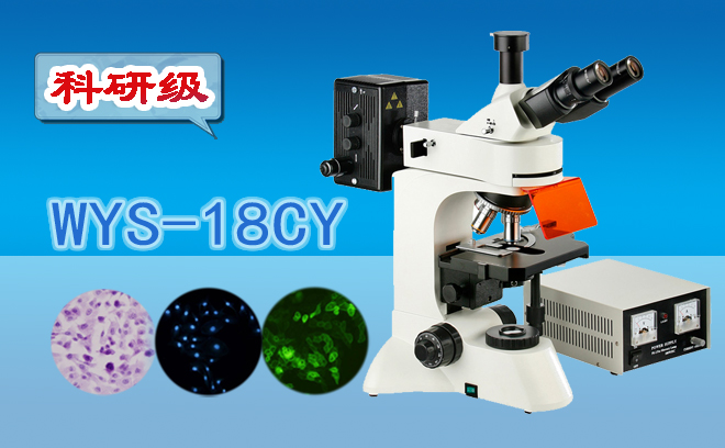 科研級三目熒光顯微鏡WYS-18CY