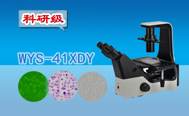 科研級三目倒置熒光顯微鏡WYS-41XDY