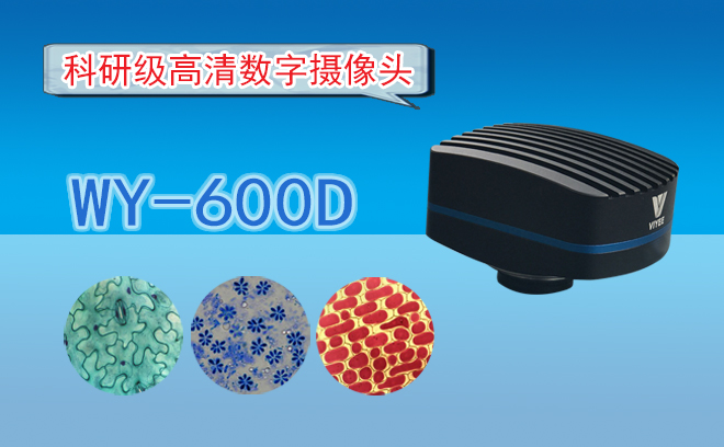 高清CCD數字攝像頭WY-600D