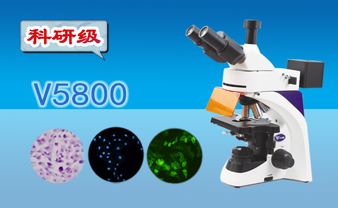 科研級三目熒光顯微鏡V5800