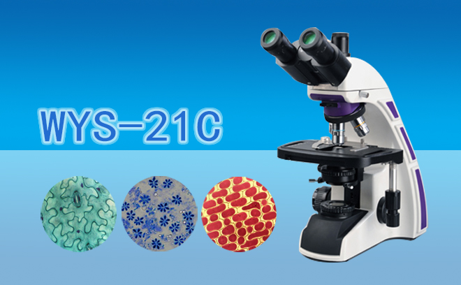 科研級三目生物顯微鏡WYS-21C
