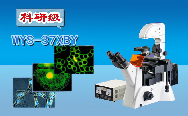 倒置熒光顯微鏡WYS-37XBY