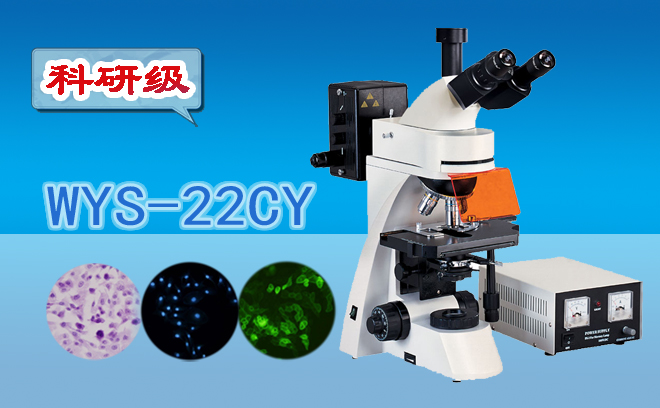 科研級三目熒光顯微鏡WYS-22CY