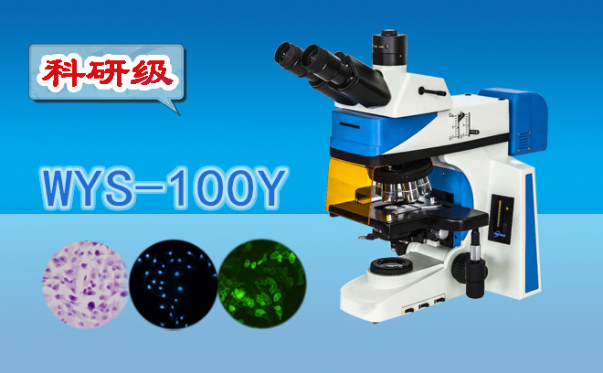 科研級三目熒光顯微鏡WYS-100Y